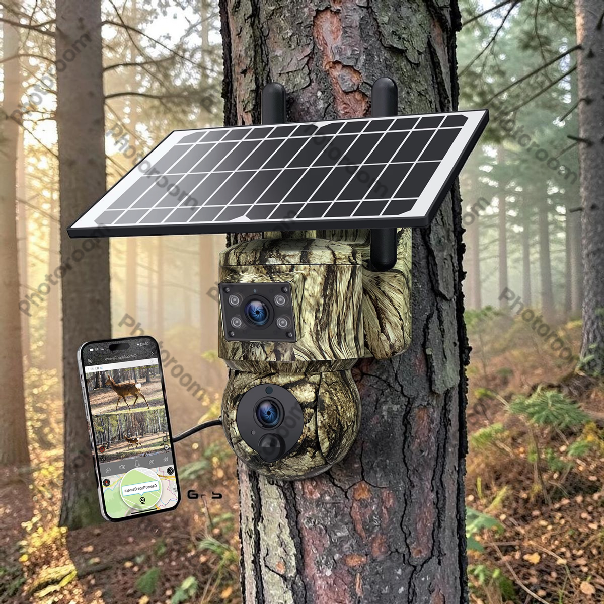 Hunter adjusting settings on 4G trail camera screen in forest, close-up view of hands holding smartphone checking signal strength, with camera strapped to tree trunk, natural daylight