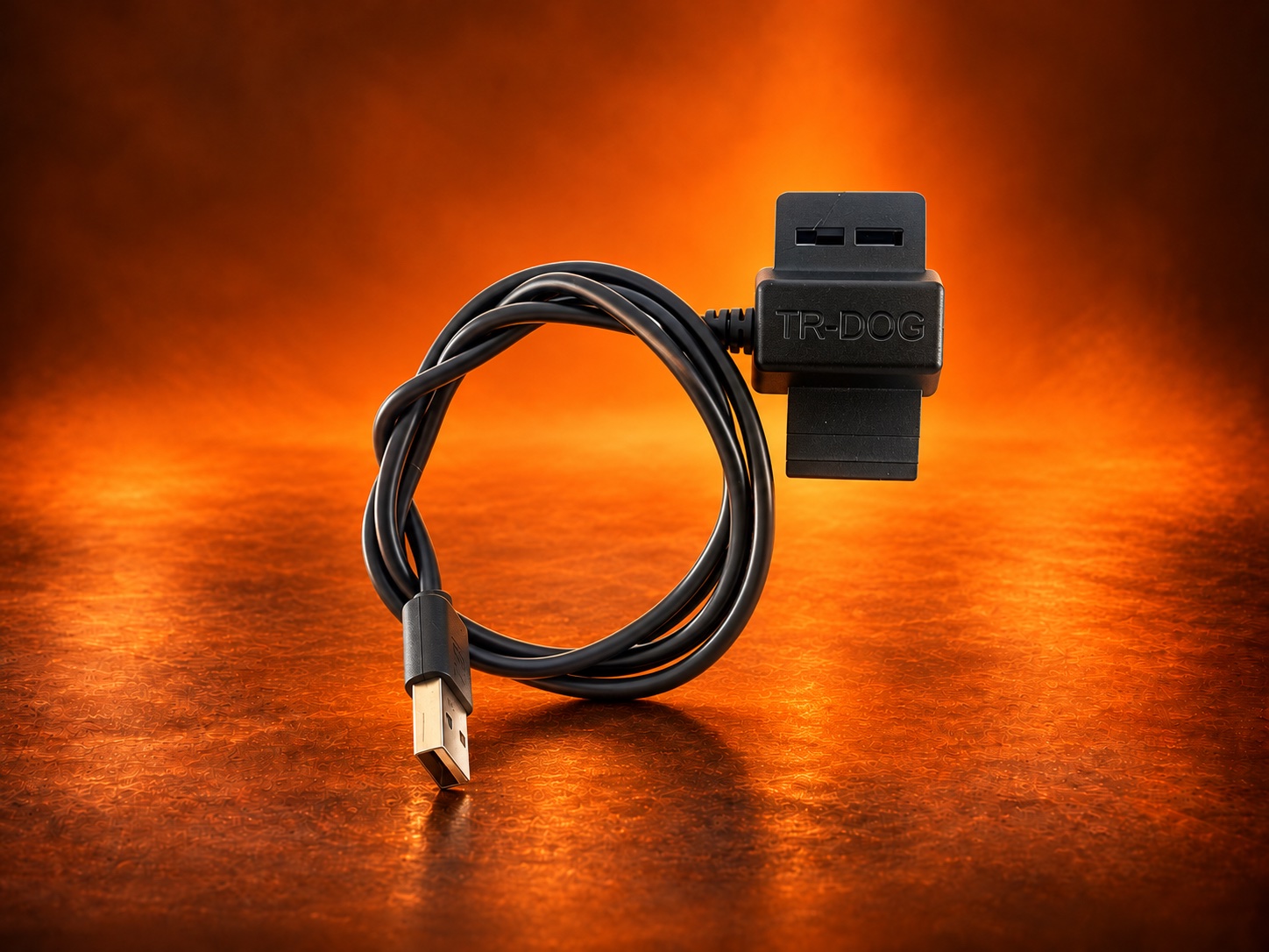 Câble de charge Collier TR DOG V2