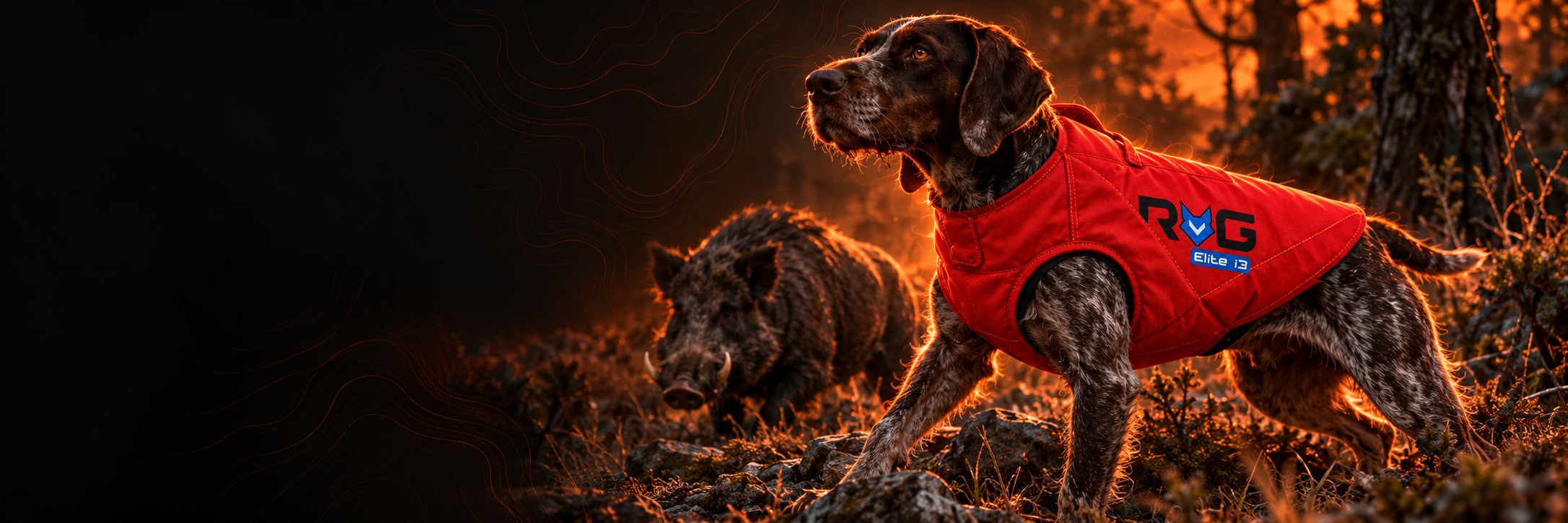 Gilet de Protection Chien de Chasse RoG Elite II