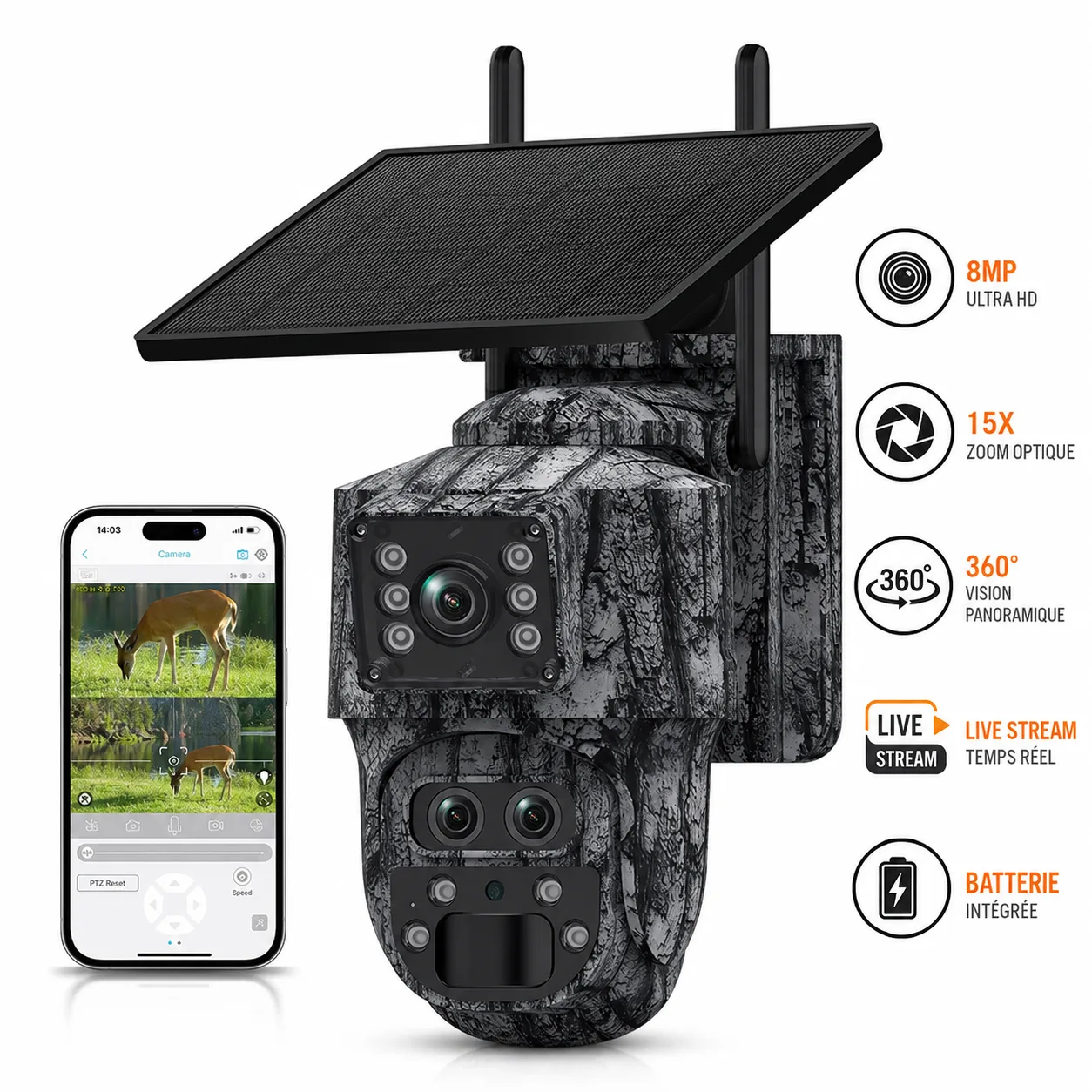 Trail camera with dual lens and solar panel mounted on the bark of a large oak tree in dense French forest, dawn light with soft golden rays filtering through leaves, ferns and dead leaves on the ground, wildlife , warm anthracite tones