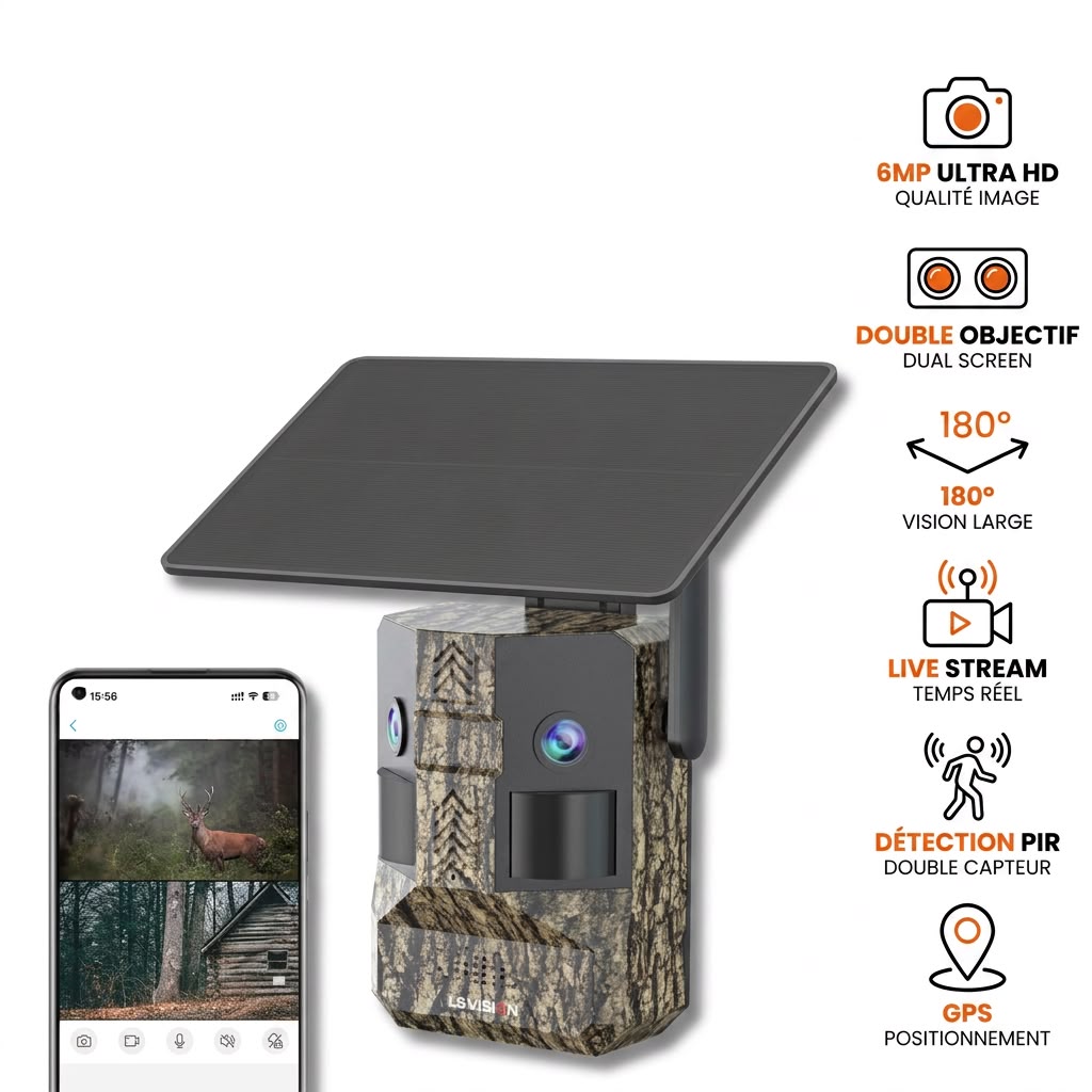 Solar panel mounted above a wildlife trail camera on a mossy tree trunk in a dense summer French forest, late afternoon golden light, dry ferns and undergrowth, cable running discreetly along the bark, product , warm anthracite tones
