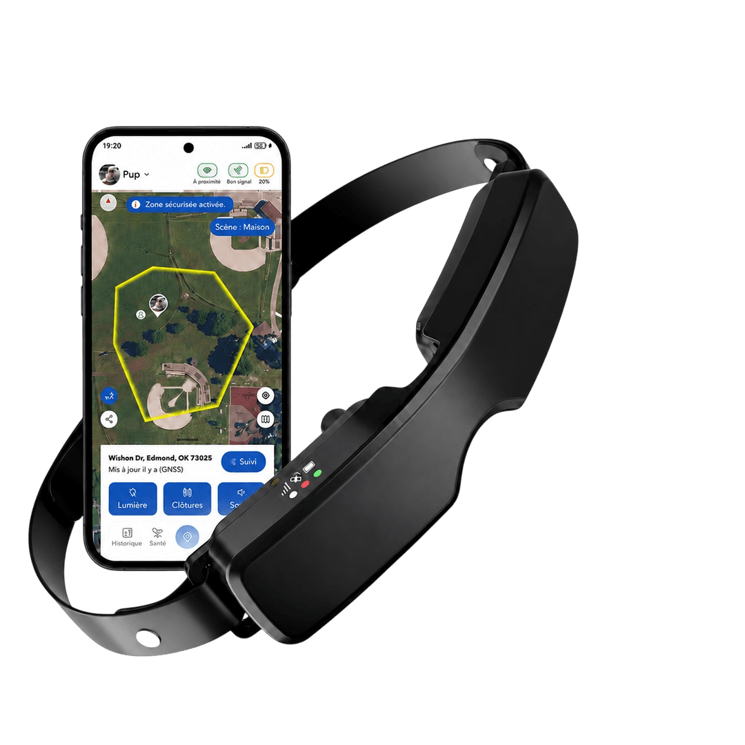 RoG Area IV — collar GPS anti-fuga