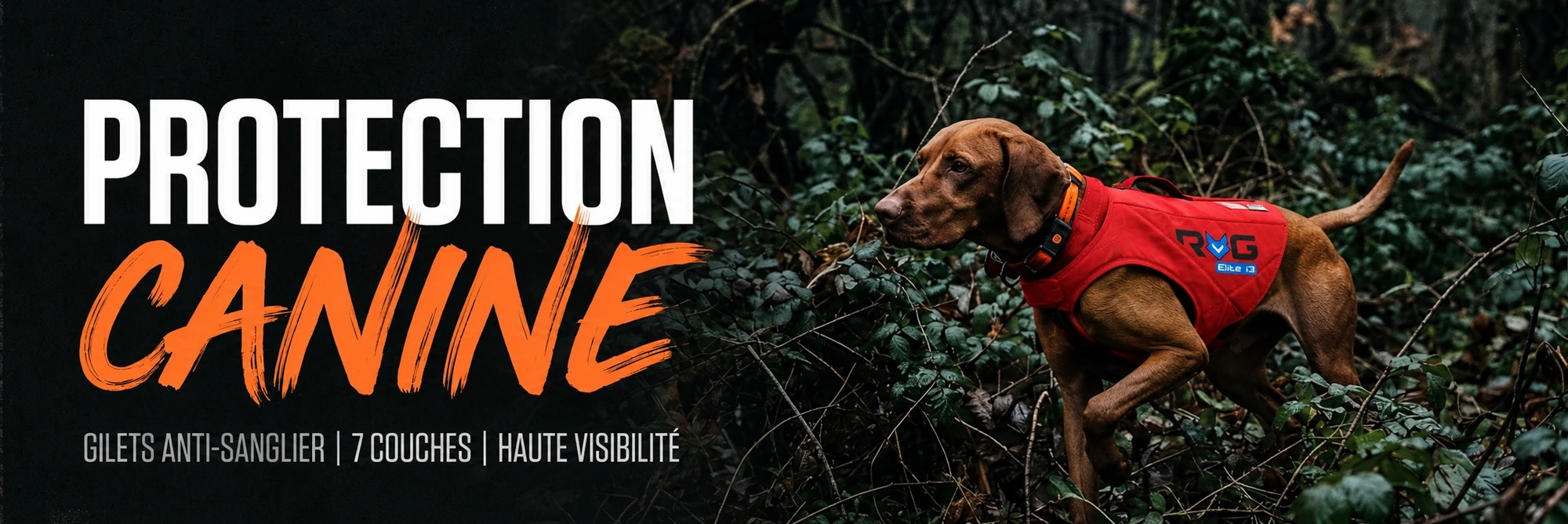 Protection Canine Elite
